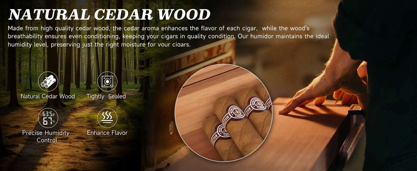 Luxury Cigar Storage